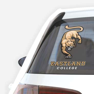 Car Decals & Car Stickers